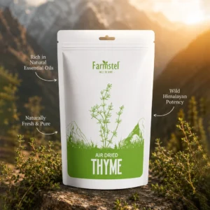 Himalayan Thyme